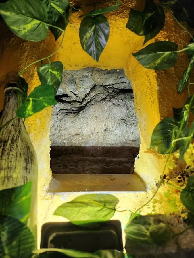 Casita Zamudio Apartment Setenil De Las Bodegas 0*,